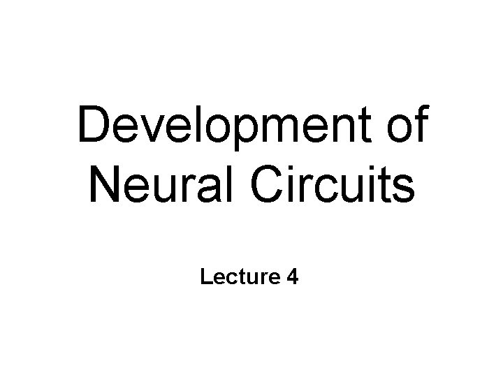 Development of Neural Circuits Lecture 4 
