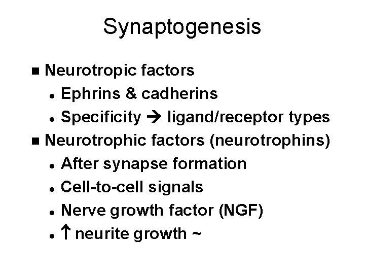 Synaptogenesis Neurotropic factors l Ephrins & cadherins l Specificity ligand/receptor types n Neurotrophic factors