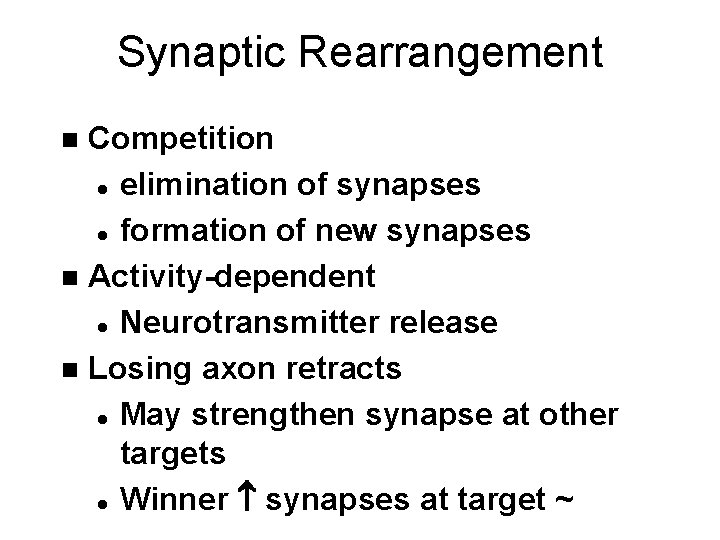 Synaptic Rearrangement Competition l elimination of synapses l formation of new synapses n Activity-dependent