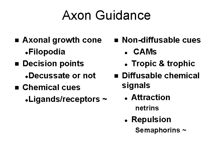 Axon Guidance n n n Axonal growth cone l. Filopodia Decision points l. Decussate