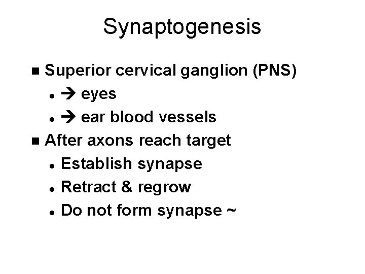 Synaptogenesis Superior cervical ganglion (PNS) l eyes l ear blood vessels n After axons