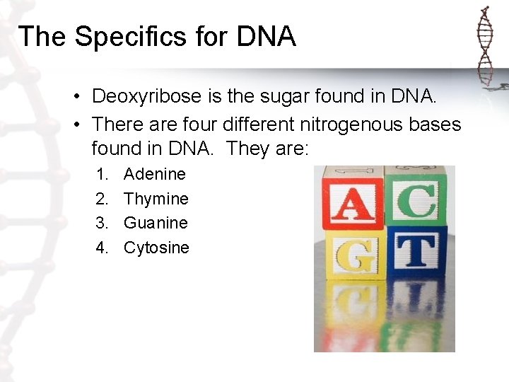 The Specifics for DNA • Deoxyribose is the sugar found in DNA. • There The Specifics for DNA • Deoxyribose is the sugar found in DNA. • There