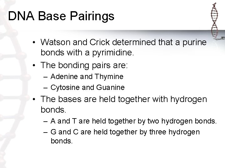 DNA Base Pairings • Watson and Crick determined that a purine bonds with a DNA Base Pairings • Watson and Crick determined that a purine bonds with a