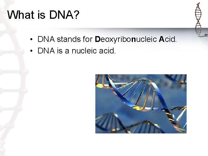 What is DNA? • DNA stands for Deoxyribonucleic Acid. • DNA is a nucleic What is DNA? • DNA stands for Deoxyribonucleic Acid. • DNA is a nucleic