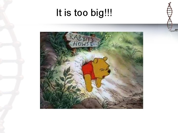 It is too big!!! It is too big!!!