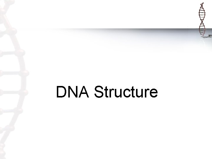DNA Structure DNA Structure