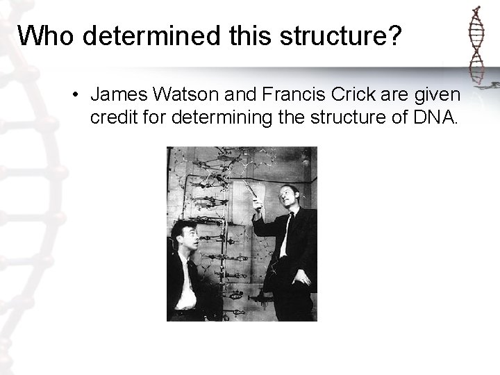 Who determined this structure? • James Watson and Francis Crick are given credit for Who determined this structure? • James Watson and Francis Crick are given credit for