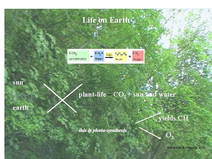 Life on Earth sun plant-life – CO 2 + sun and water earth yields