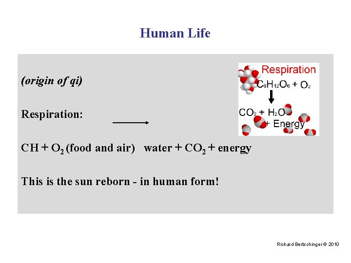 Human Life (origin of qi) Respiration: CH + O 2 (food and air) water