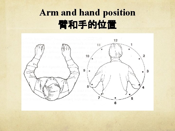 Arm and hand position 臂和手的位置 