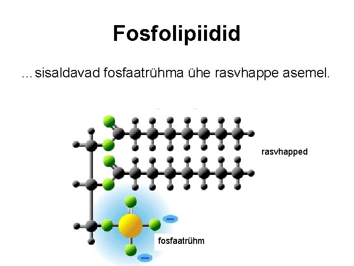 Fosfolipiidid …sisaldavad fosfaatrühma ühe rasvhappe asemel. rasvhapped fosfaatrühm 