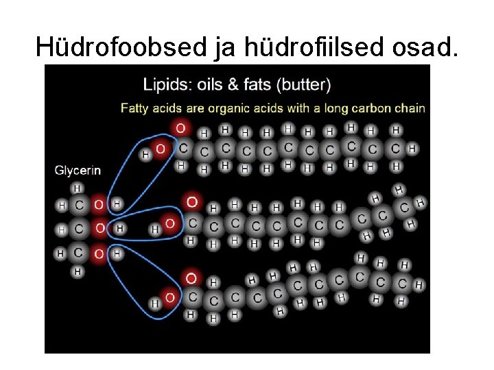 Hüdrofoobsed ja hüdrofiilsed osad. 