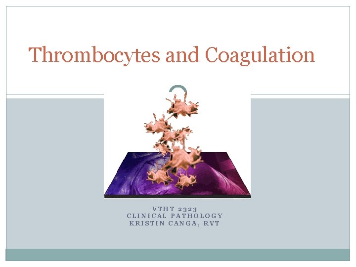 Thrombocytes and Coagulation VTHT 2323 CLINICAL PATHOLOGY KRISTIN CANGA, RVT 