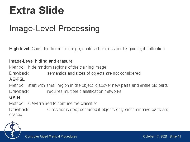 Extra Slide Image-Level Processing High level: Consider the entire image, confuse the classifier by