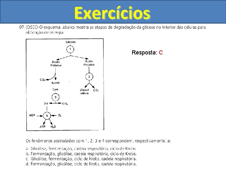 Exercícios Resposta: C 