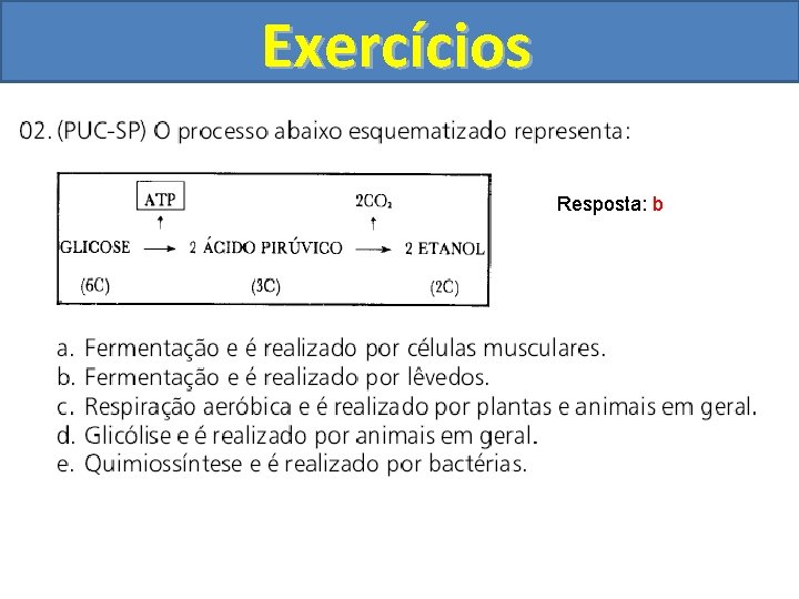 Exercícios Resposta: b 