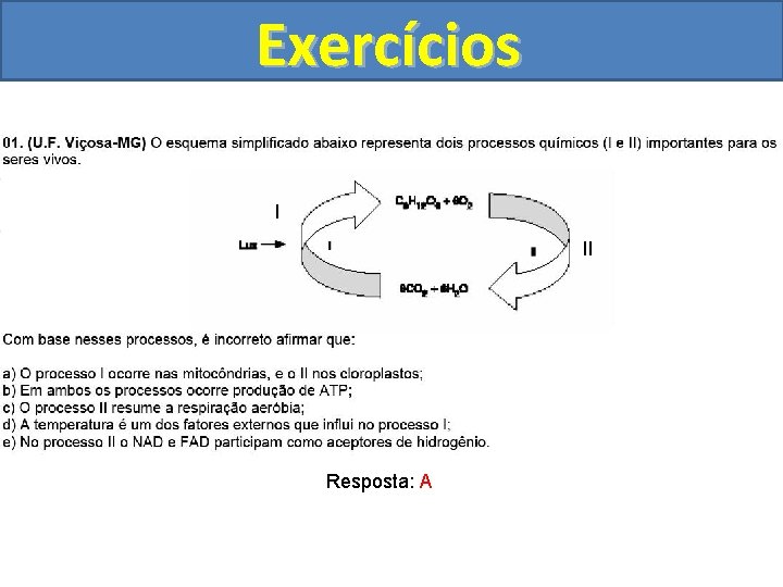 Exercícios I II Resposta: A 