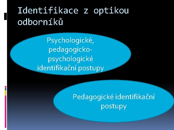 Identifikace z optikou odborníků Psychologické, pedagogickopsychologické identifikační postupy Pedagogické identifikační postupy 