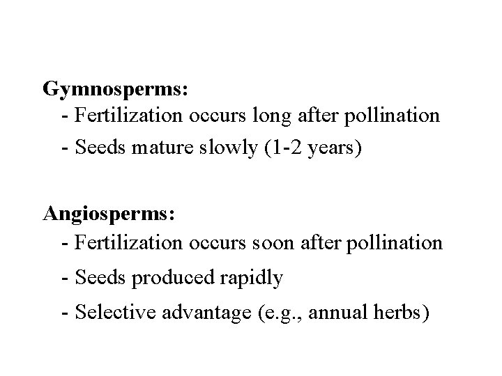 Gymnosperms: - Fertilization occurs long after pollination - Seeds mature slowly (1 -2 years)
