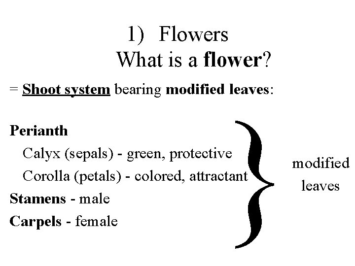 1) Flowers What is a flower? = Shoot system bearing modified leaves: } Perianth