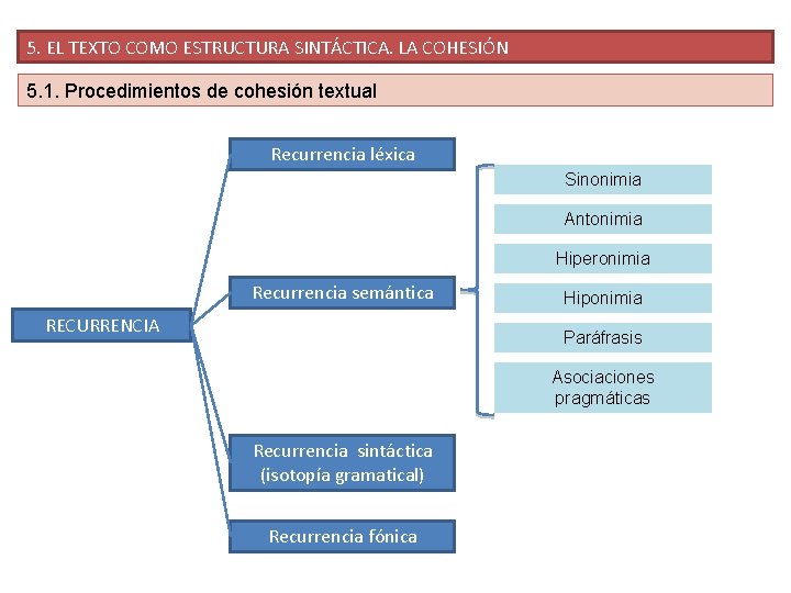 5. EL TEXTO COMO ESTRUCTURA SINTÁCTICA. LA COHESIÓN 5. 1. Procedimientos de cohesión textual