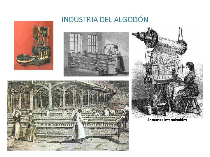 INDUSTRIA DEL ALGODÓN 