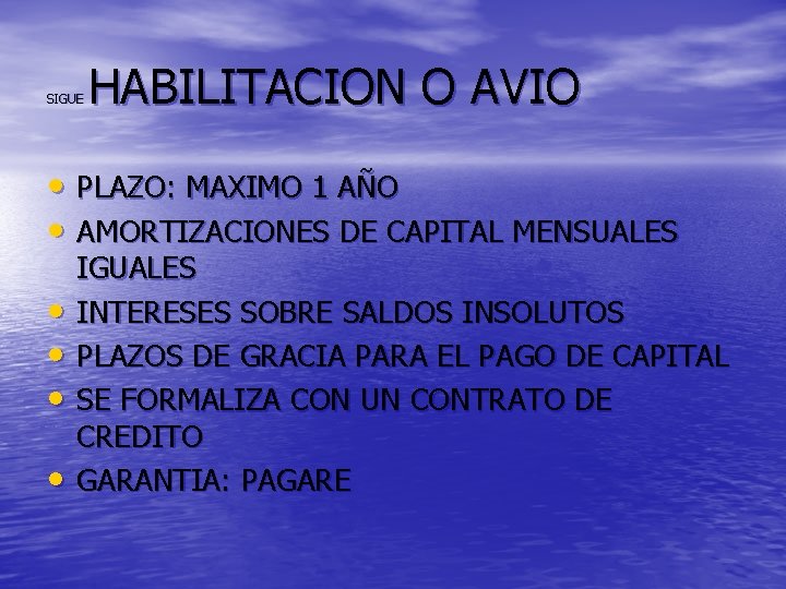 SIGUE HABILITACION O AVIO • PLAZO: MAXIMO 1 AÑO • AMORTIZACIONES DE CAPITAL MENSUALES