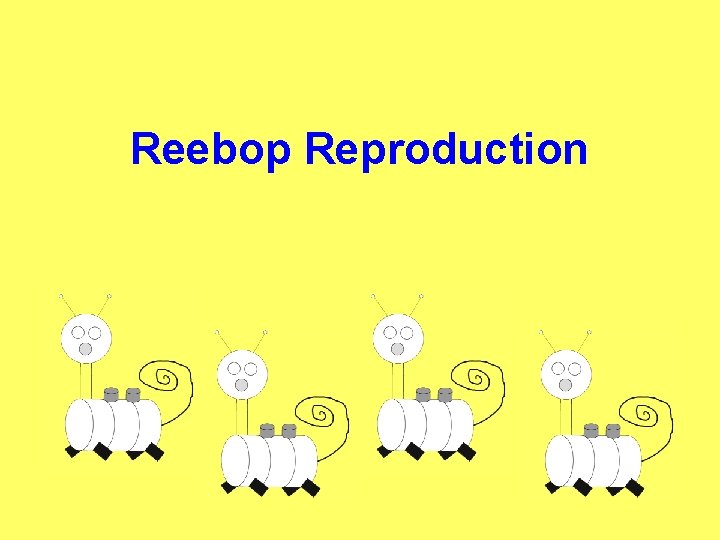 Reebop Reproduction 