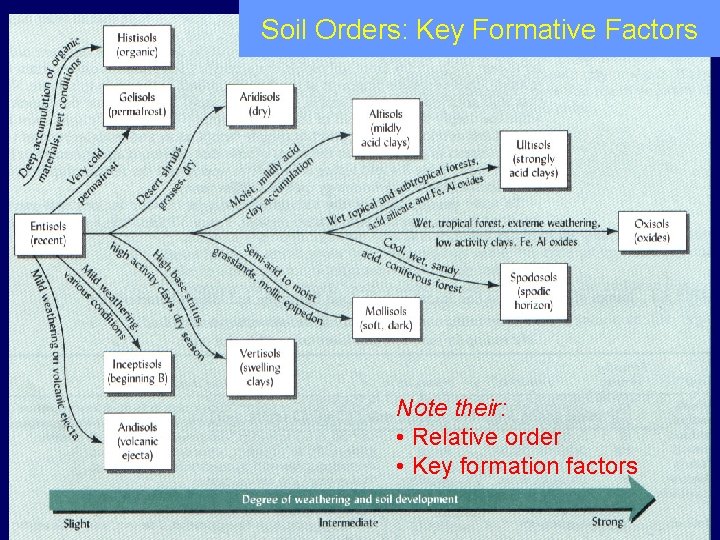 Soil Orders: Key Formative Factors Note their: • Relative order • Key formation factors