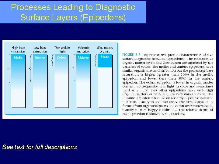 Processes Leading to Diagnostic Surface Layers (Epipedons) See text for full descriptions 