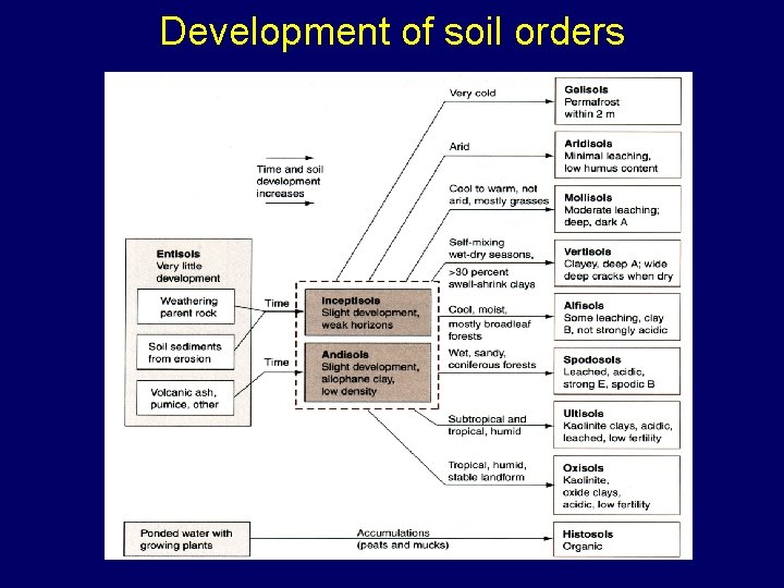 Development of soil orders 