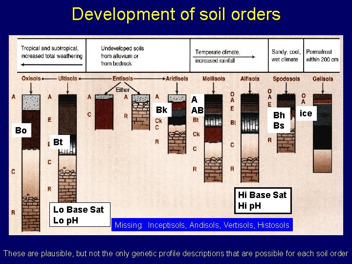 Development of soil orders Bk Bo A AB Bh Bs ice Bt Lo Base