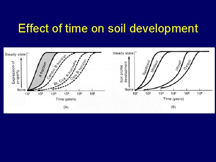Effect of time on soil development 