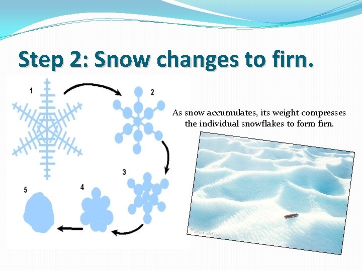 Step 2: Snow changes to firn. As snow accumulates, its weight compresses the individual
