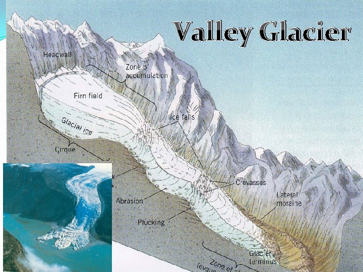 Valley Glacier 