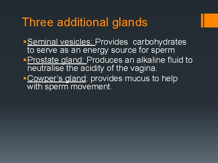 Three additional glands § Seminal vesicles: Provides carbohydrates to serve as an energy source