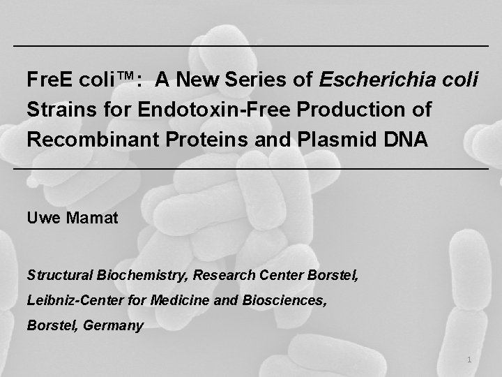Fre. E coli™: A New Series of Escherichia coli Strains for Endotoxin-Free Production of