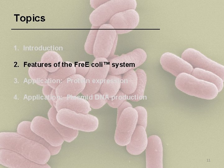 Topics 1. Introduction 2. Features of the Fre. E coli™ system 3. Application: Protein