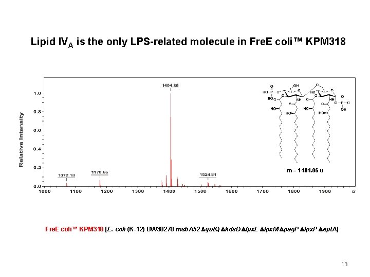 Lipid IVA is the only LPS-related molecule in Fre. E coli™ KPM 318 m