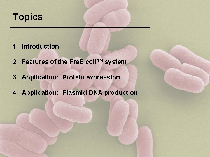Topics 1. Introduction 2. Features of the Fre. E coli™ system 3. Application: Protein