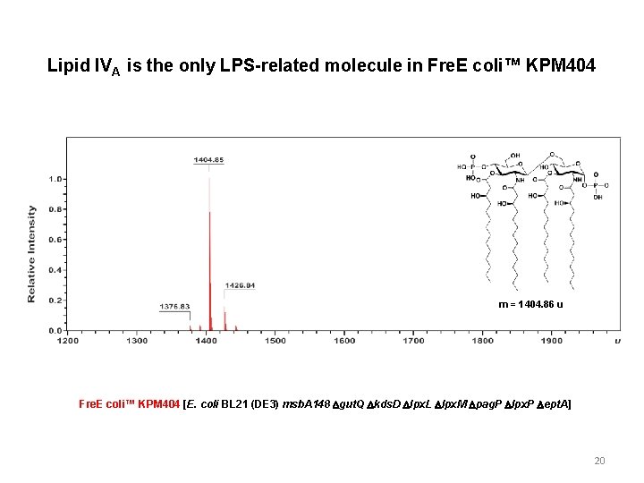Lipid IVA is the only LPS-related molecule in Fre. E coli™ KPM 404 m