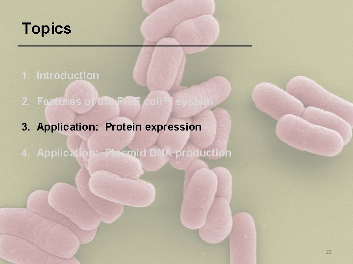 Topics 1. Introduction 2. Features of the Fre. E coli™ system 3. Application: Protein