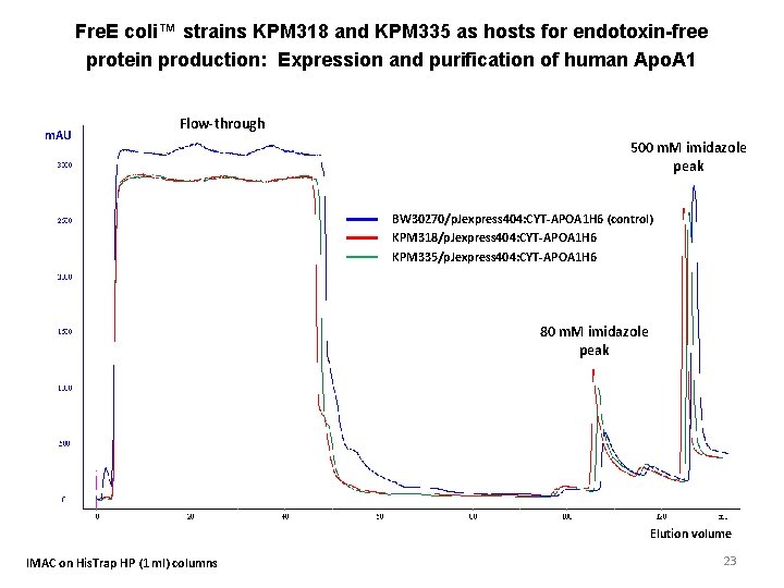 Fre. E coli™ strains KPM 318 and KPM 335 as hosts for endotoxin-free protein