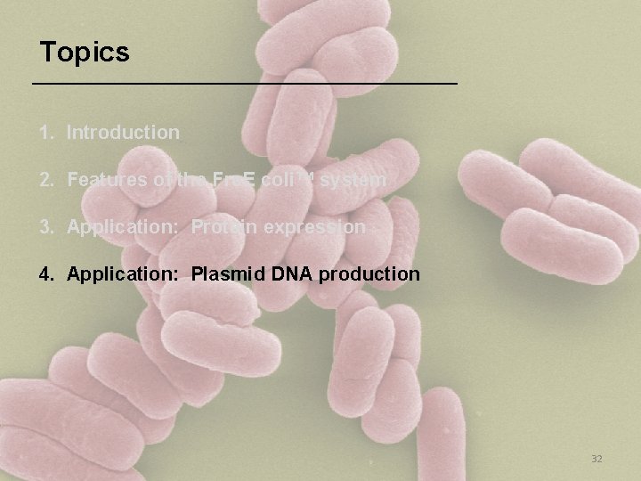 Topics 1. Introduction 2. Features of the Fre. E coli™ system 3. Application: Protein