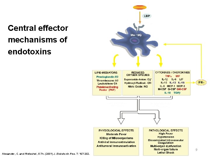 Central effector mechanisms of endotoxins 9 Alexander, C. and Rietschel, E. Th. (2001) J.
