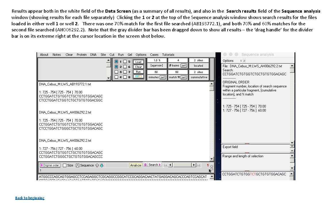 Results appear both in the white field of the Data Screen (as a summary