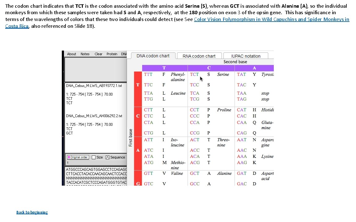 The codon chart indicates that TCT is the codon associated with the amino acid