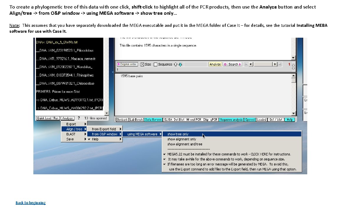To create a phylogenetic tree of this data with one click, shift-click to highlight