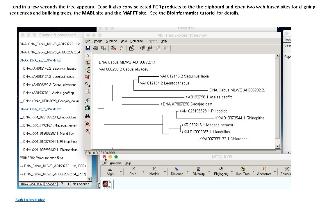 …and in a few seconds the tree appears. Case It also copy selected PCR