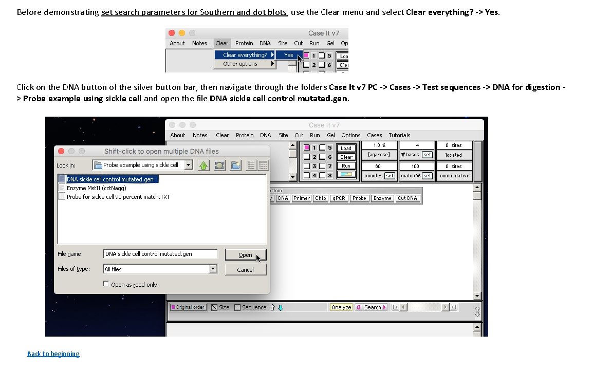 Before demonstrating set search parameters for Southern and dot blots, use the Clear menu